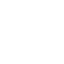 Pinecone for Model Optimization