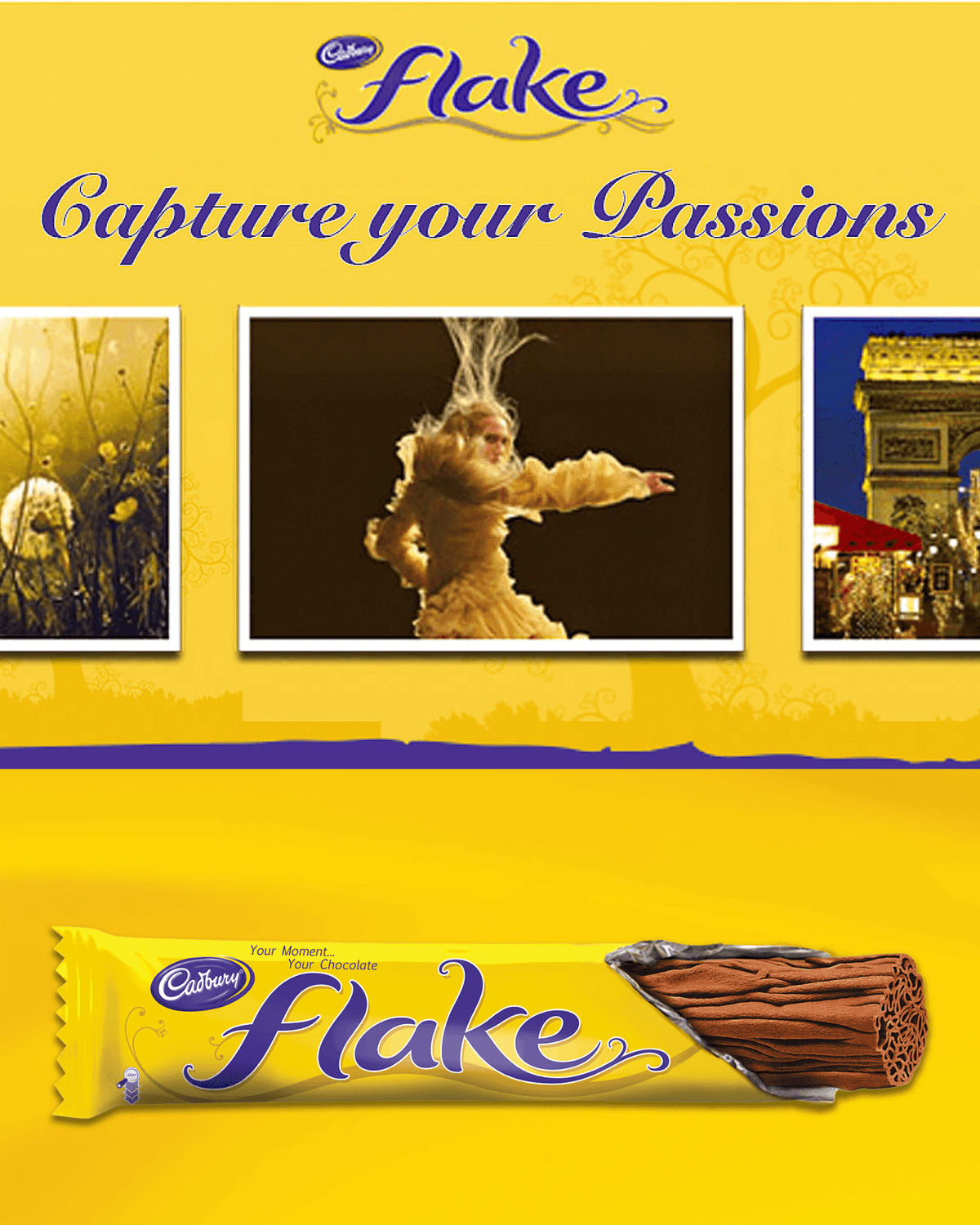 Flake Capture Your Passion