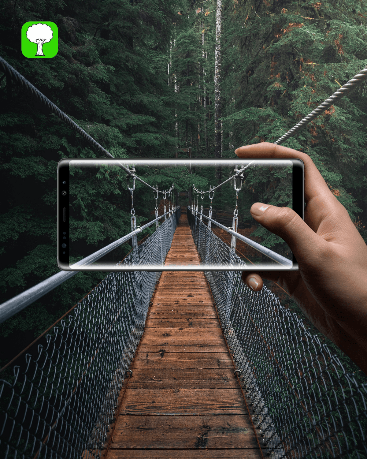 Tree iOS App