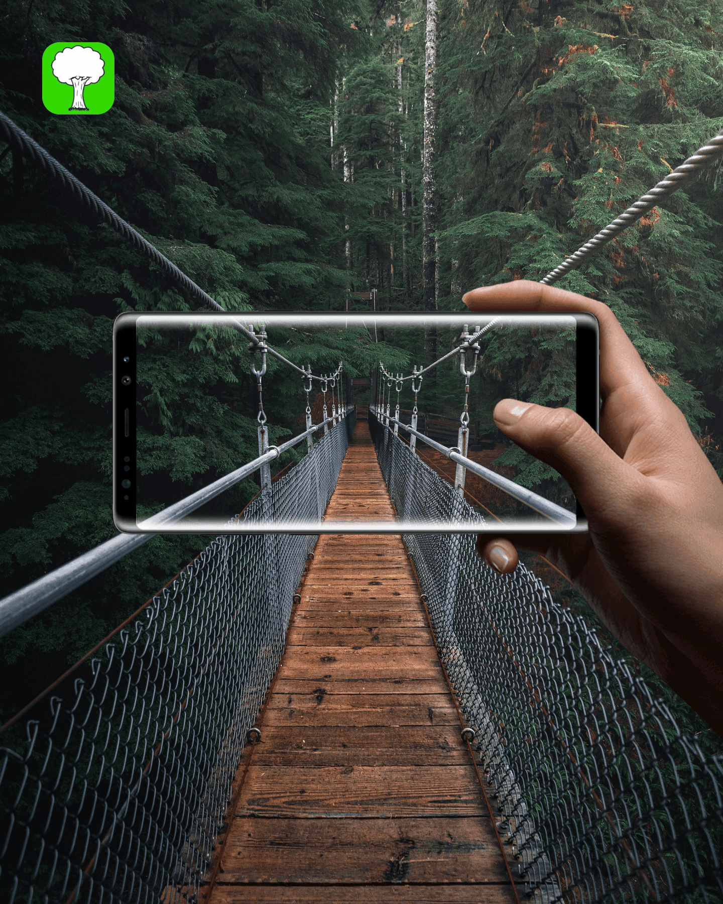 Tree iOS App